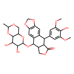 Etoposide (148-167,25mg/ml)