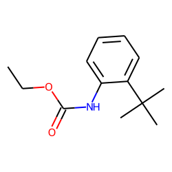 Carbanilic acid, 2-tert-butyl-, ethyl ester