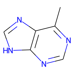 1H-Purine, 6-methyl-