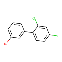 1,1'-Biphenyl-3-ol, 2',4'-dichloro