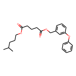 Glutaric acid, isohexyl 3-phenoxybenzyl ester