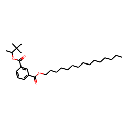 Isophthalic acid, 3,3-dimethylbut-2-yl pentadecyl ester
