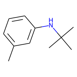 Aniline, 3-methyl-n-tert-butyl-