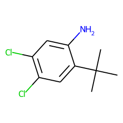 Aniline, 2-tert-butyl-4,5-dichloro-
